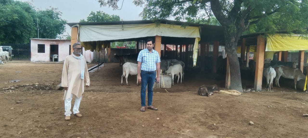 प्रयागराज: जिलाधिकारी के निर्देश के क्रम में सभी सम्बंधित खण्ड विकास अधिकारियों के द्वारा सम्बंधित गौआश्रय स्थलों का किया गया औचक निरीक्षण