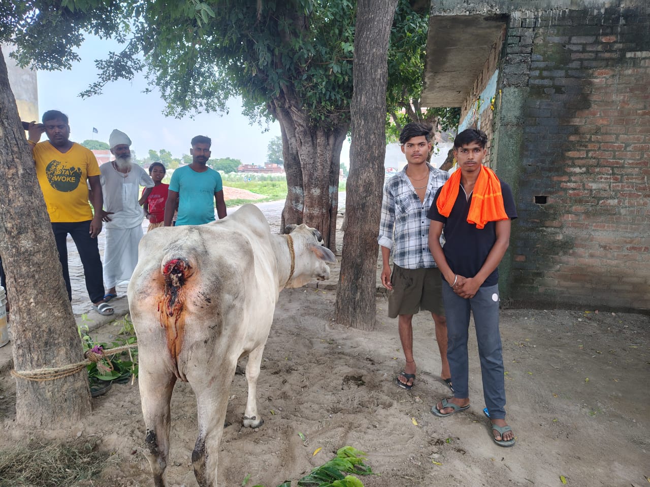 फर्रुखाबाद: लापरवाही के बावजूद समय पर पहुंचकर बचाई घायल गोवंश की जान