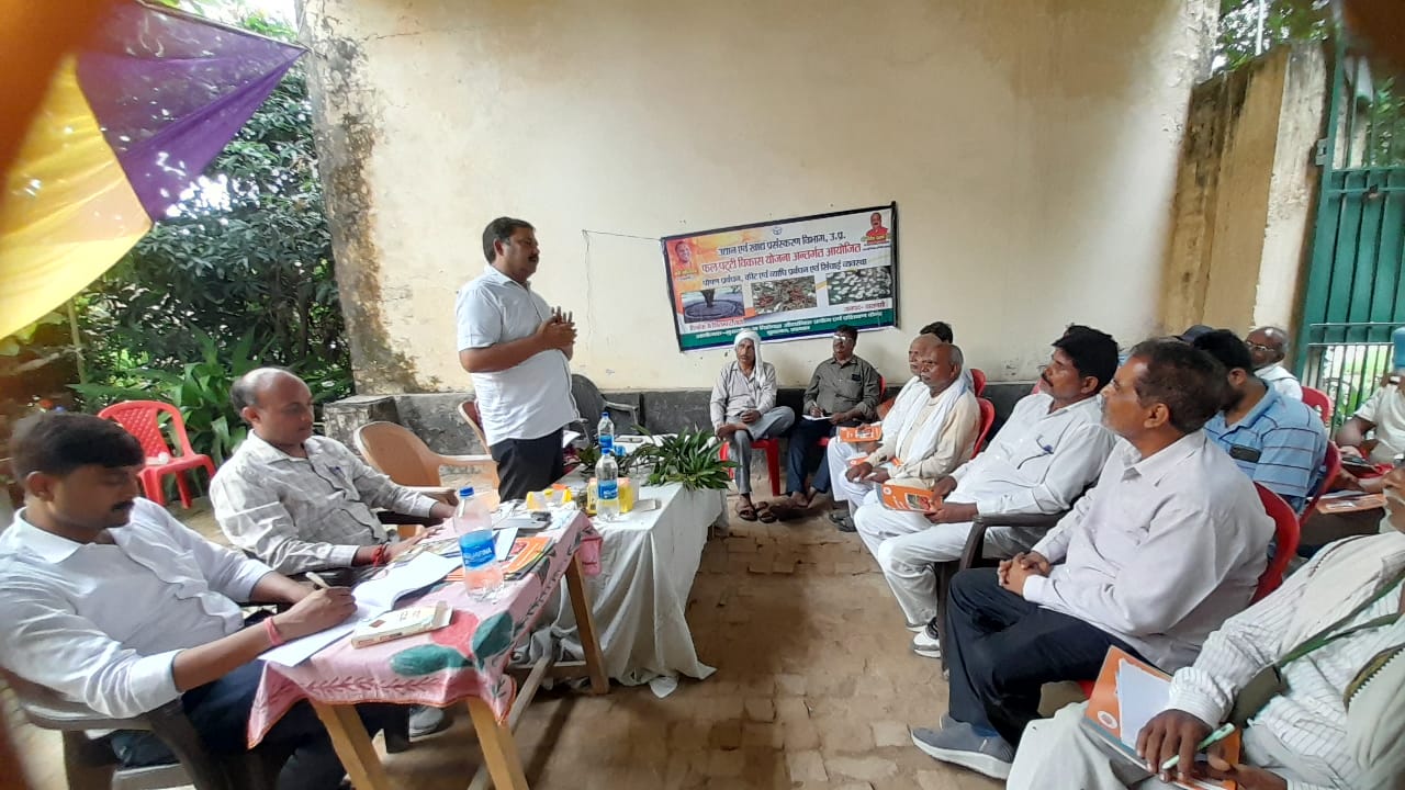प्रयागराज,आम के पौधों में संतुलित मात्रा में करें उर्वरकों का प्रयोग - वी के सिंह