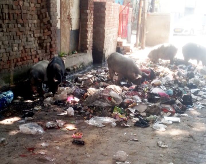 फर्रुखाबाद: मंदिर व कब्रिस्तान के पास कूड़ा डंपिंग से भड़का जनाक्रोश, प्रशासन पर लापरवाही के आरोप