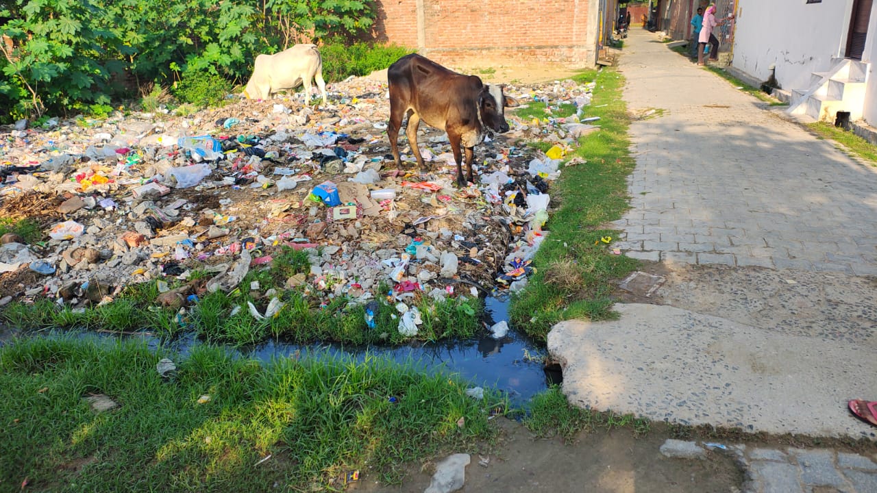 फर्रुखाबाद:फतेहगढ़ में कूड़े के ढेर से बीमारी फैलने का खतरा, मोहल्ले में बढ़ी चिंता