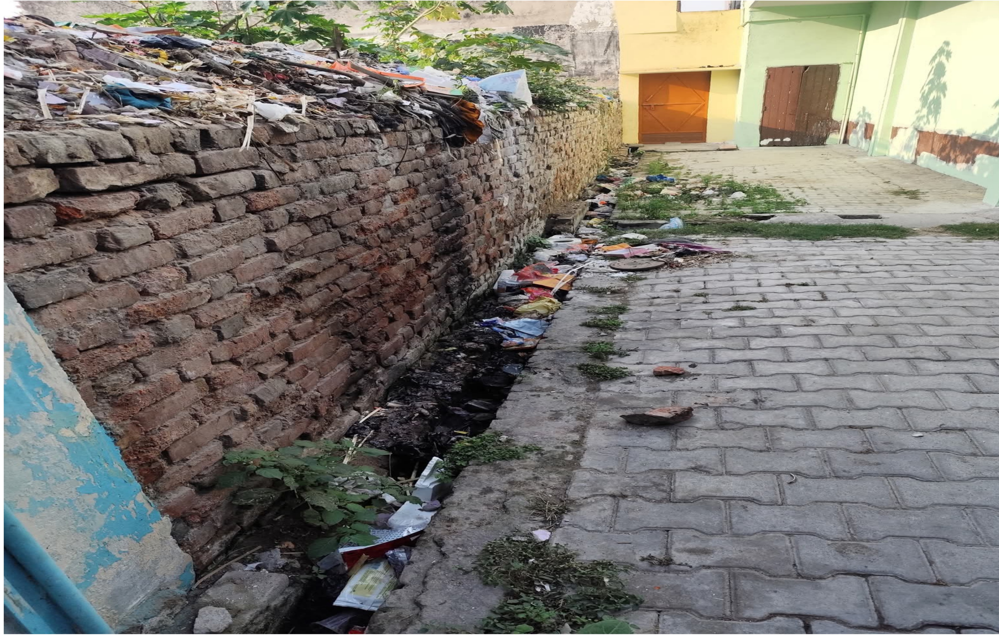 फर्रूखाबाद के राजीव गांधी नगर में सफाई व्यवस्था बदहाल — नालियाँ बंद, मच्छरों का आतंक, प्रशासन मौन