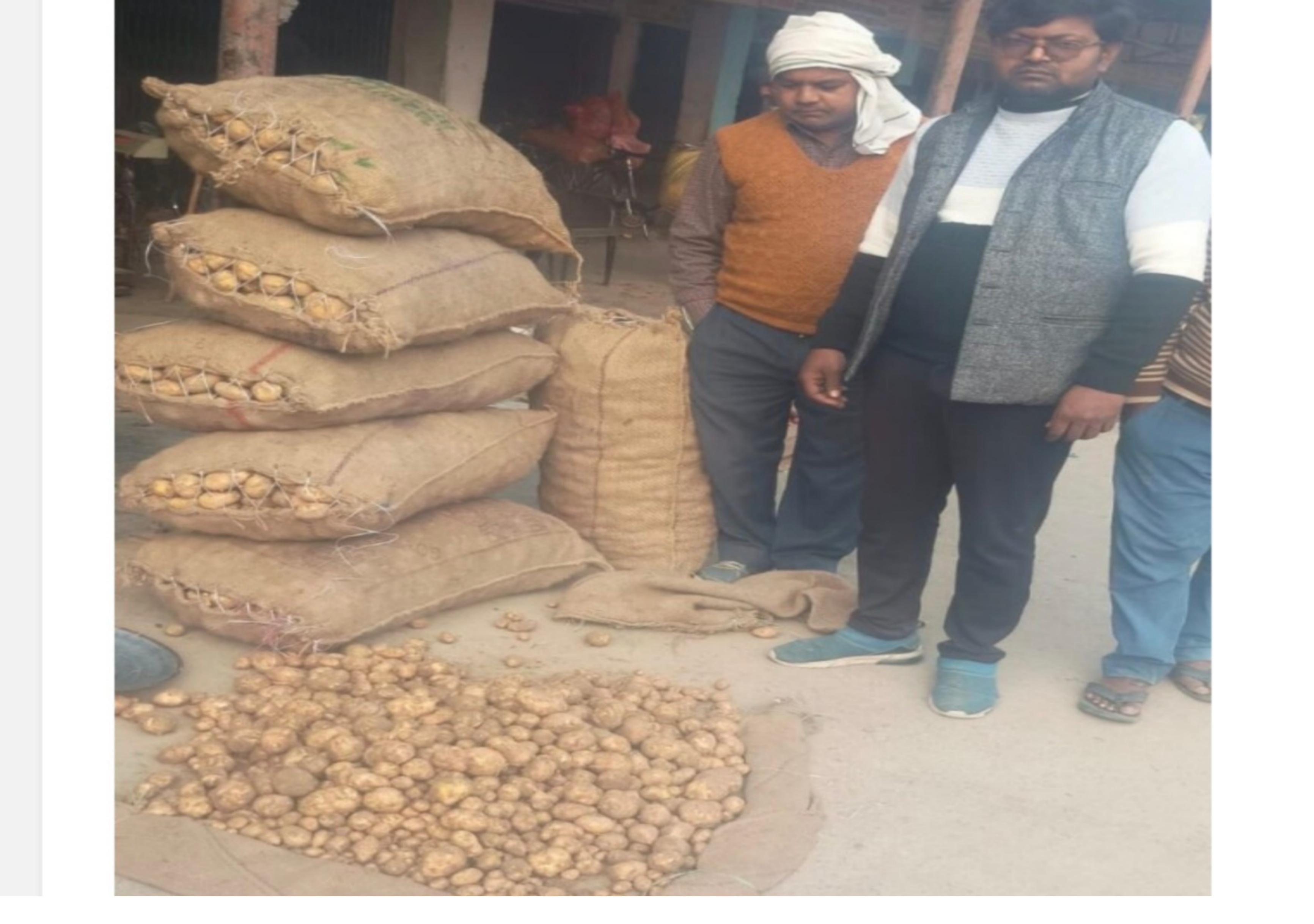 फर्रुखाबाद: एशिया की सबसे बड़ी आलू मंडी सातनपुर में नए आलू की हुई एंट्री, आढ़तों पर हुआ शुभारम्भ