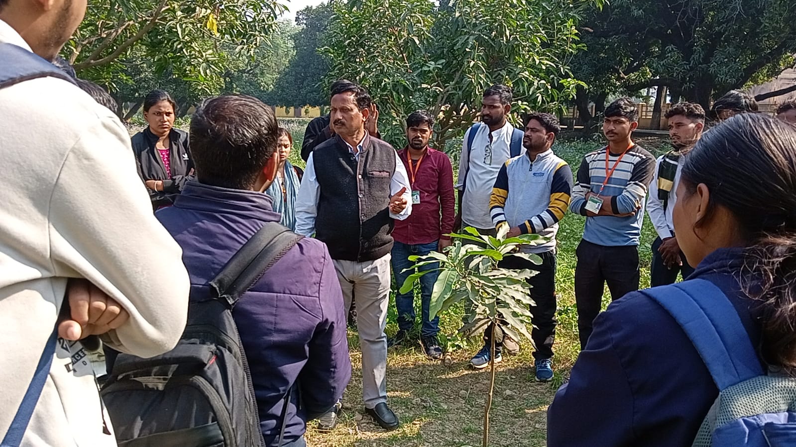 प्रयागराज: आम की सघन बागवानी में करें कैनोपी प्रबंधन-डॉ वीरेंद्र सिंह