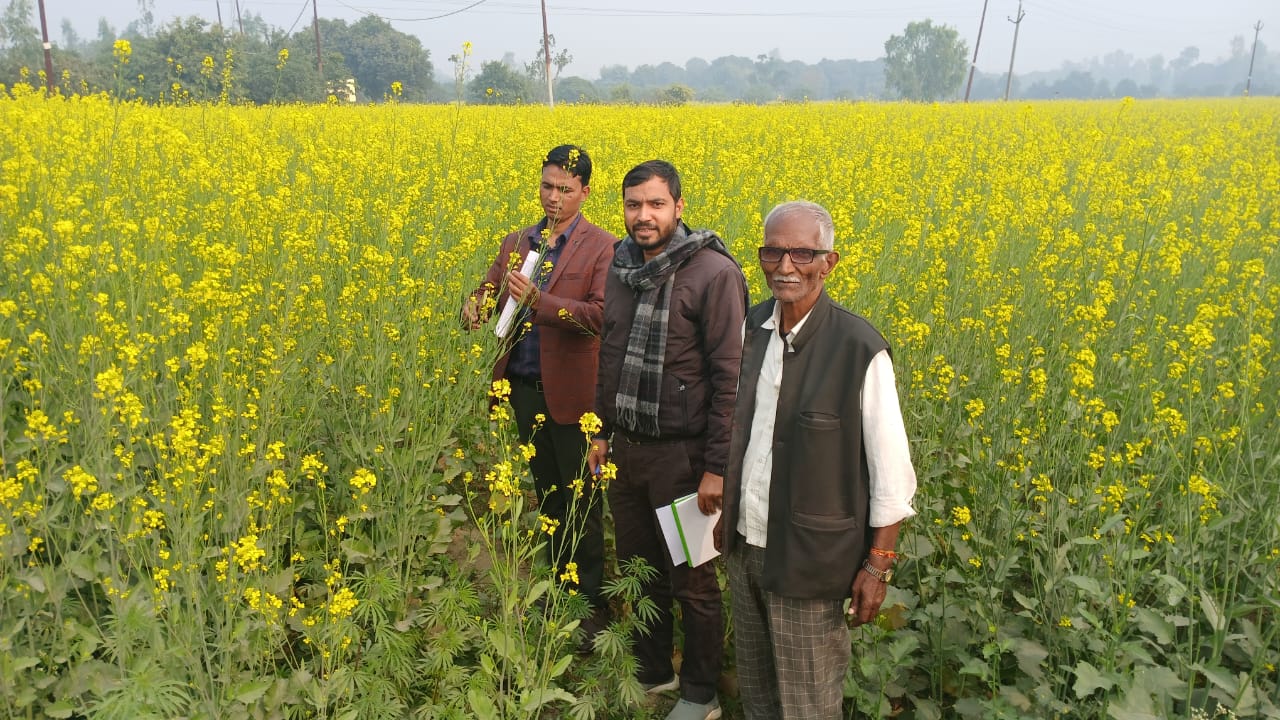 फर्रुखाबाद:ठंड और बढ़ती नमी में फसलों की सुरक्षा जरूरी,आलू व सरसों के लिए कृषि विभाग की एडवाइजरी