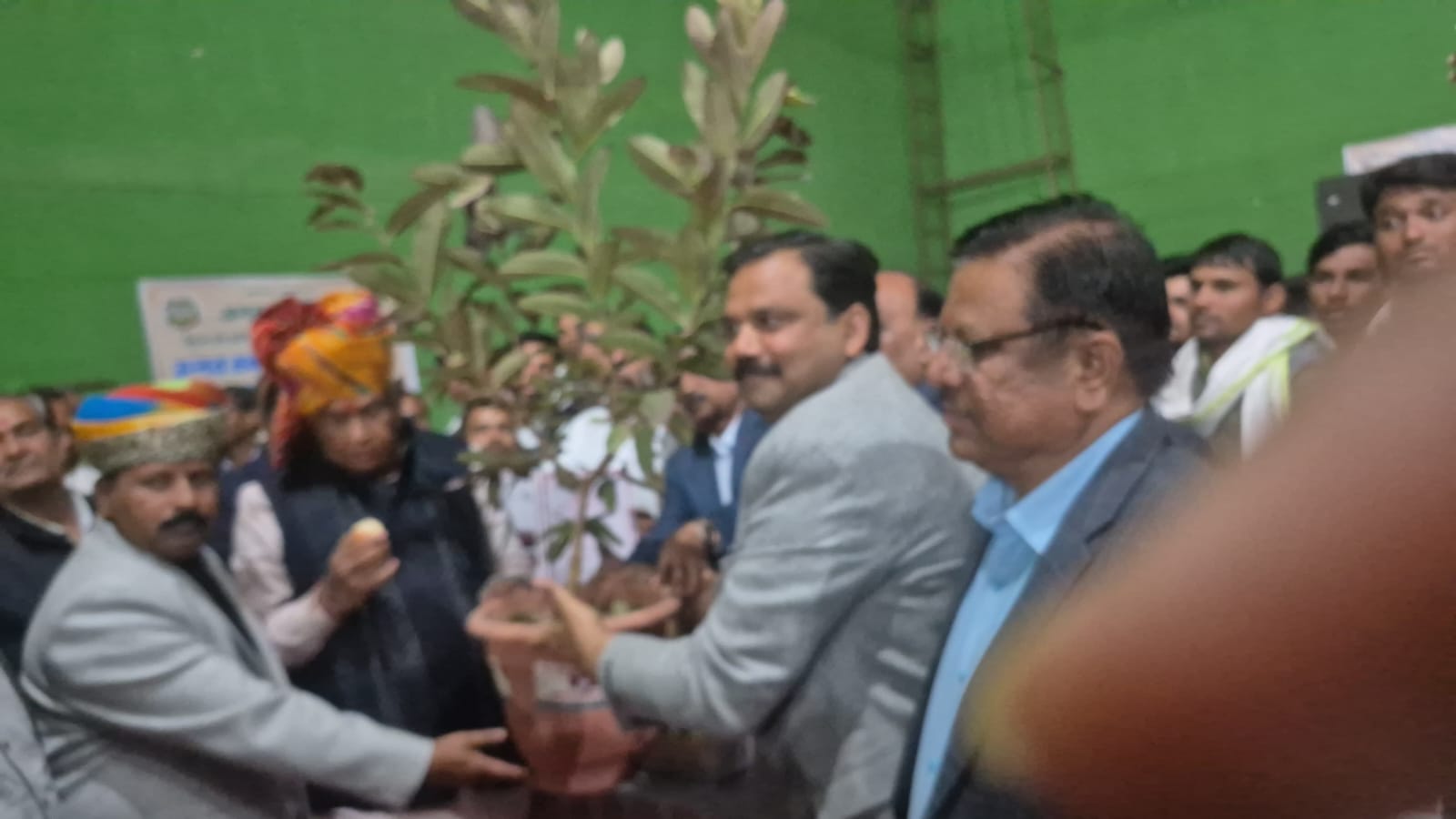 प्रयागराज:राजस्थान अमरुद महोत्सव में दिखा सुर्खा अमरूद का जलवा
