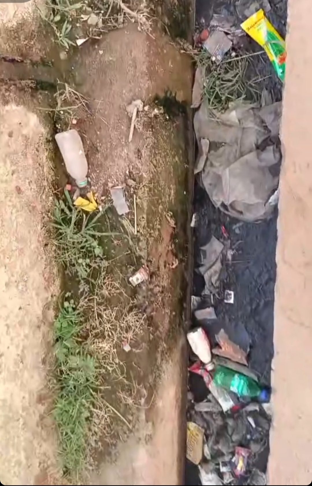 रायपुर:-नाली सफाई नहीं होने से वार्डवासी परेशान, नगरपालिका के खिलाफ बढ़ रहा आक्रोश