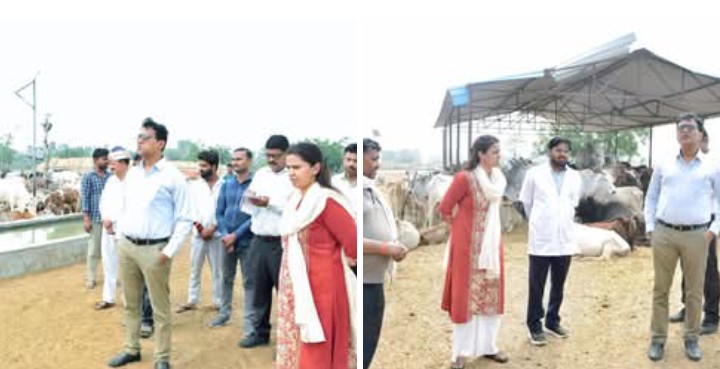 लखीमपुर खीरी : गौ आश्रय स्थल का डीएम ने किया औचक निरीक्षण,अतिरिक्त शेड निर्माण के दिए निर्देश