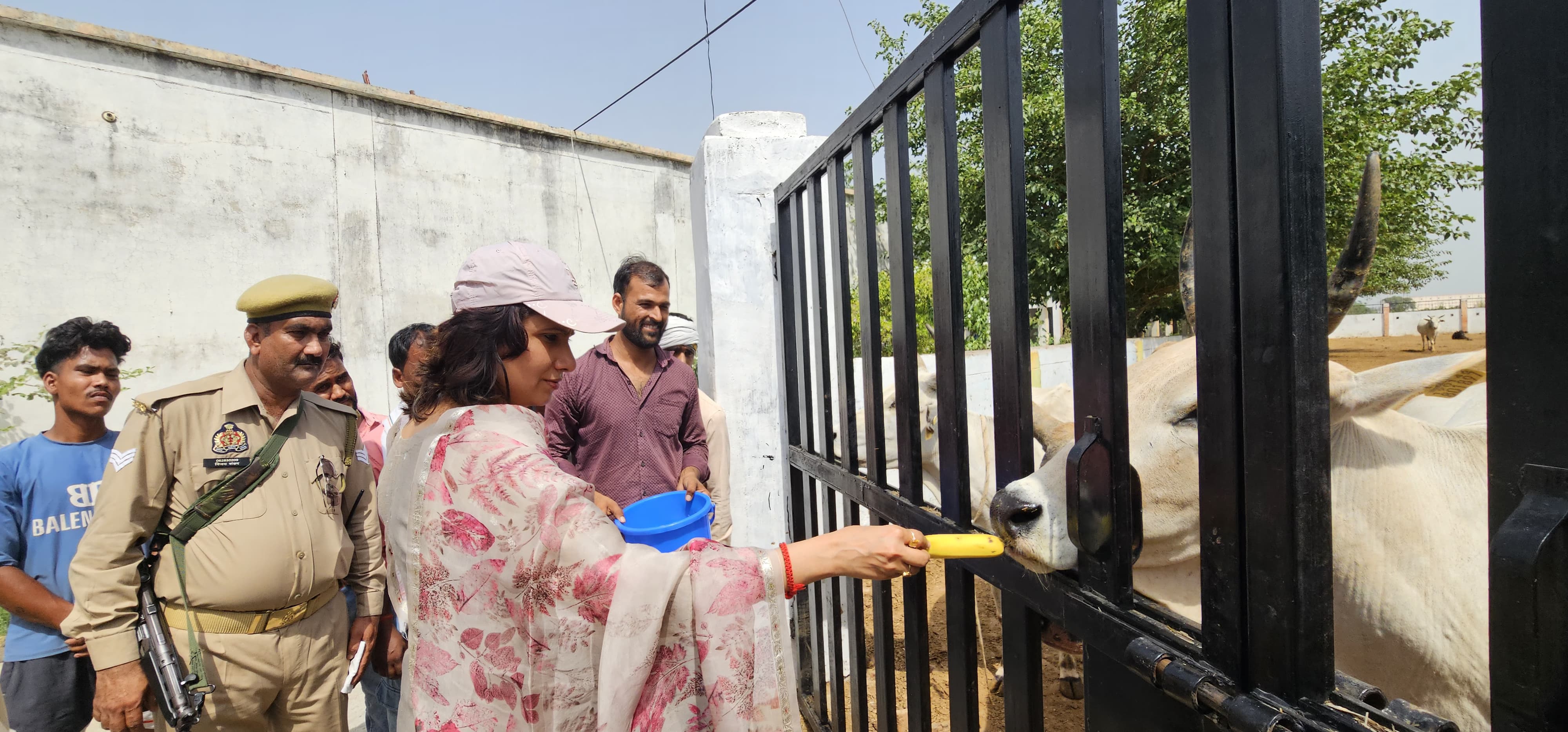 फर्रुखाबाद:डीएम अंकुर लाठर ने कान्हा गौशाला का निरीक्षण कर व्यवस्थाओं का लिया जायजा