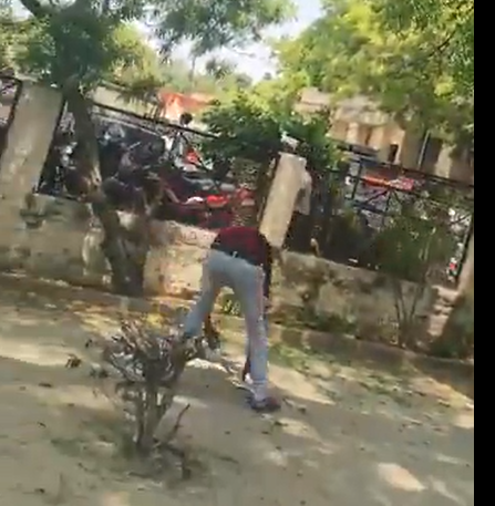 बुलंदशहर में अचानक पेड़ से होने लगी नोटों की बारिश! क्या है मामला