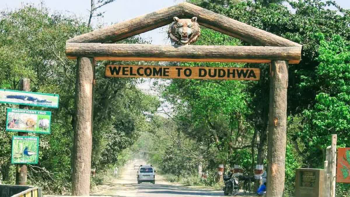 लखीमपुर खीरी : दुधवा नेशनल पार्क पर्यटकों के लिए बना हुआ है आकर्षण का केंद्र
