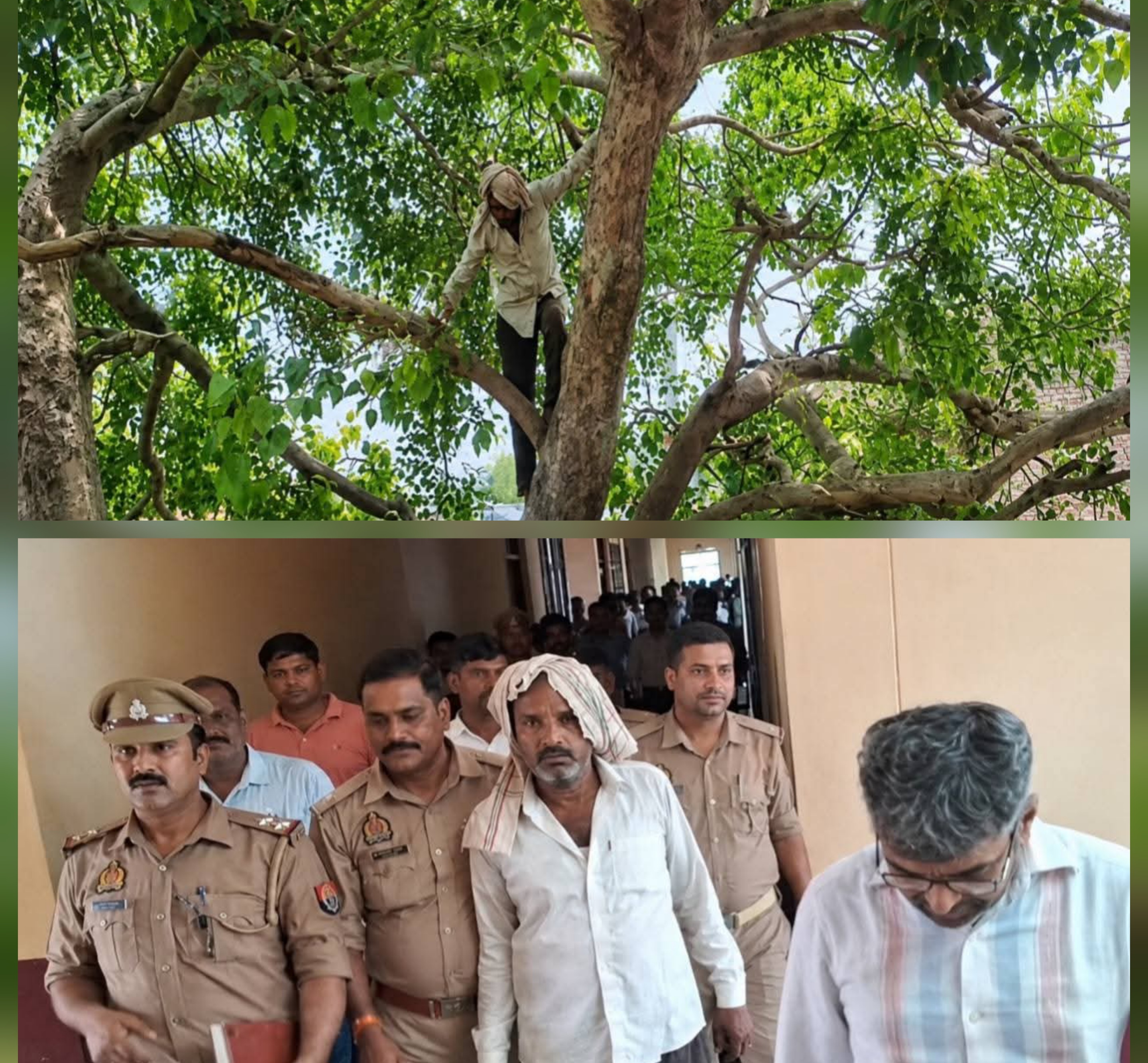 फर्रुखाबाद:कायमगंज तहसील में 40 साल पुराने जमीन विवाद से परेशान किसान पीपल के पेड़ पर चढ़ा, प्रशासन ने समझाकर उतारा