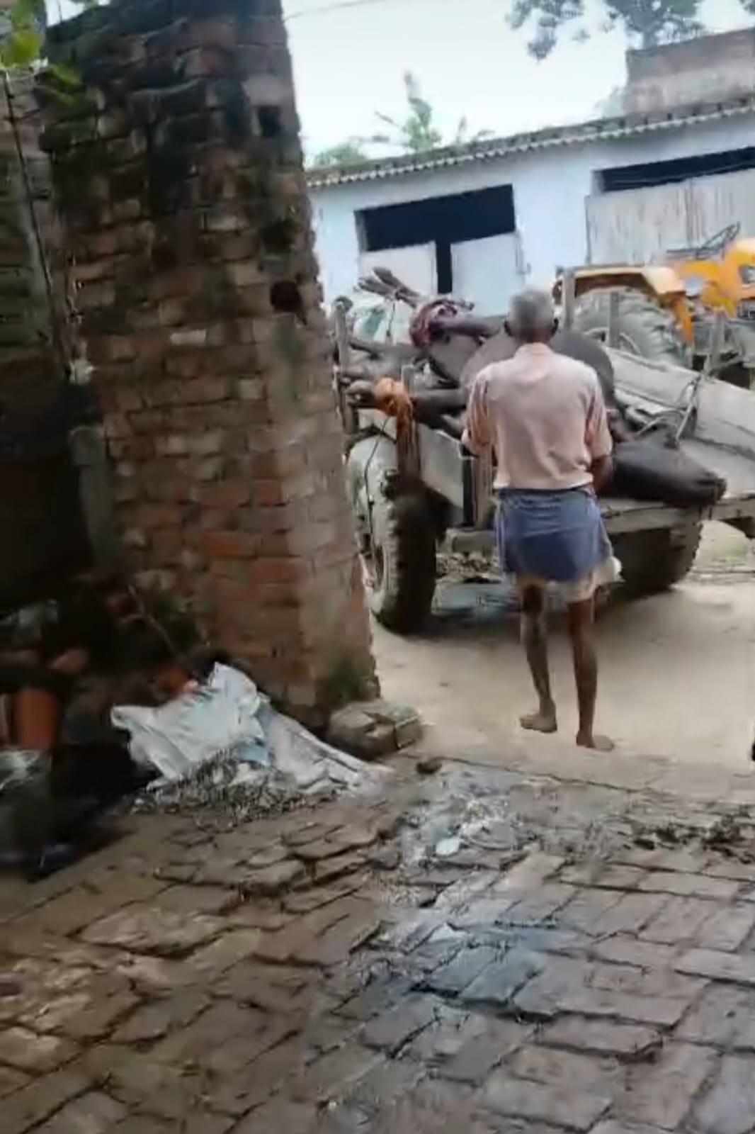 बरेली:शार्ट सर्किट गौशाला में लगी आग आग की चपेट में आकर दो भैंसों की मौके पर ही मौत।