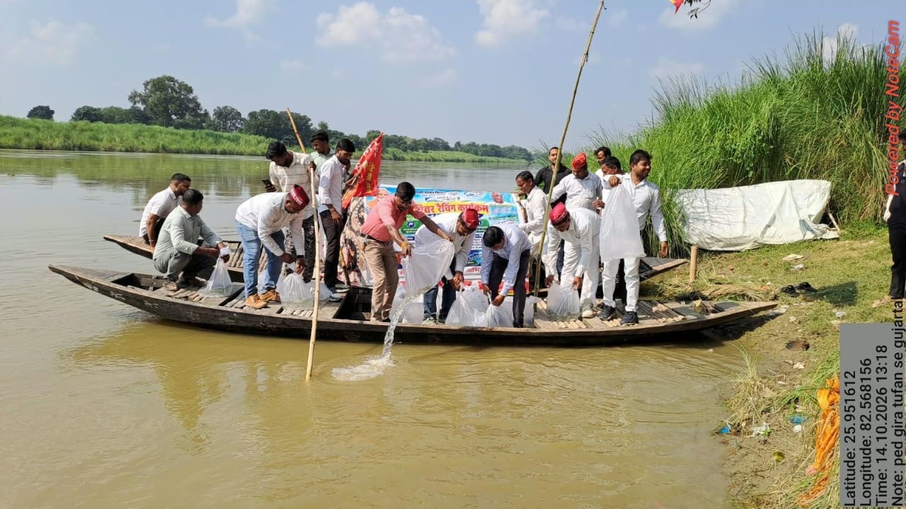 जौनपुर :रिवर रैचिंग के तहत गोमती नदी में प्रवाहित की गई एक लाख रोहू, नैन एवं कतला की मत्स्य अंगुलिकाएं