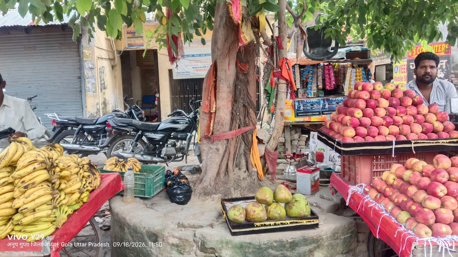 लखीमपुर खीरी : भारतीय बजरंग दल ने बरम बाबा स्थल पर अतिक्रमण एवं शराबियों के जमावड़ा को लेकर ग्रिल और चबूतरा निर्माण की उठाई मांग 