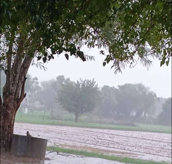 जौनपुर :28-30 अक्टूबर को प्रदेश के कई हिस्सों में तेज झोंकेदार हवाओं के साथ गरज-चमक, बज्रपात एवं भारी वर्षा की तीब्र संभावना के सम्बन्ध में दिशा निर्देश