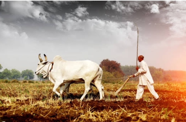 जौनपुर :6.86 लाख किसानों के खाते में जाएगी 24 वी किस्त